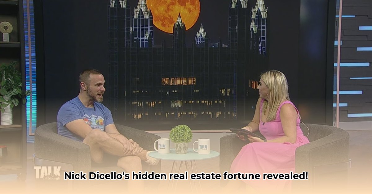 nick-dicello-net-worth